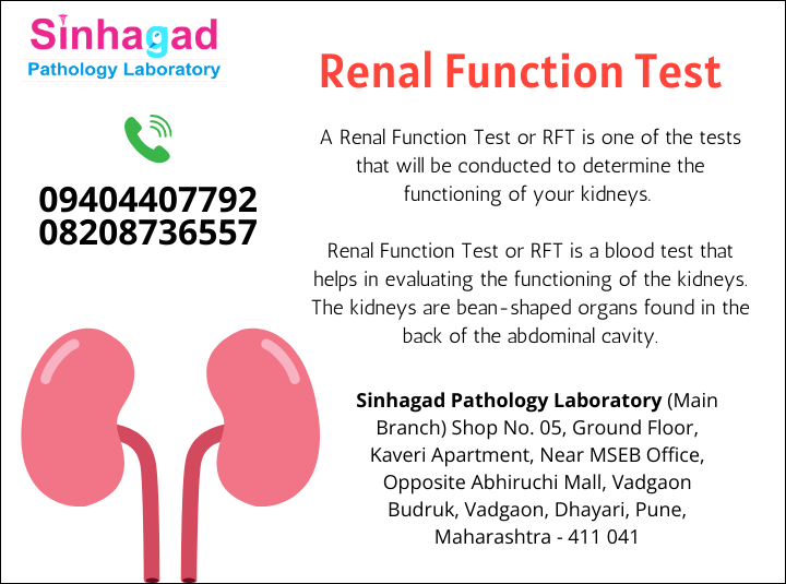 RENAL FUNCTION TEST