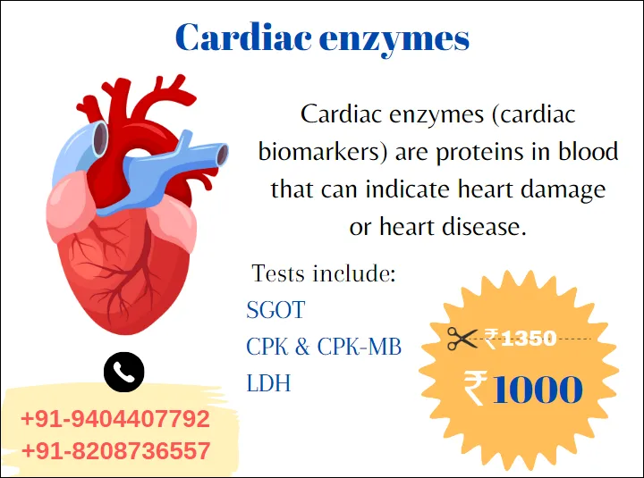 Cardiac Enzymes